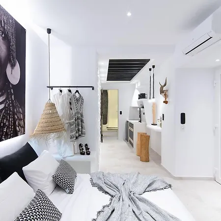 Portara Seaside Luxury Naxos City